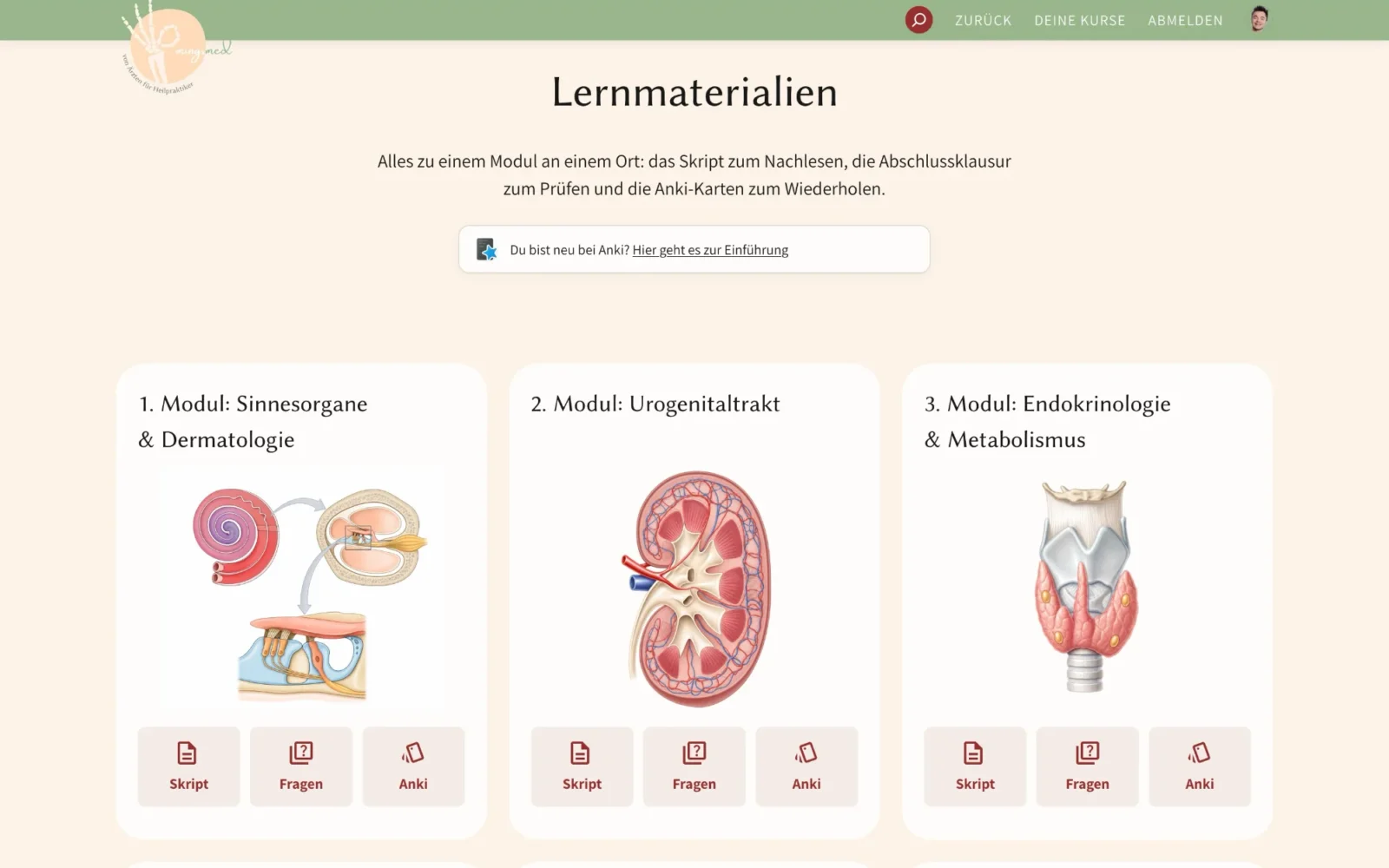 Lernmaterialien bei mingsmed: je Modul Skript, Fragen und Anki-Karten